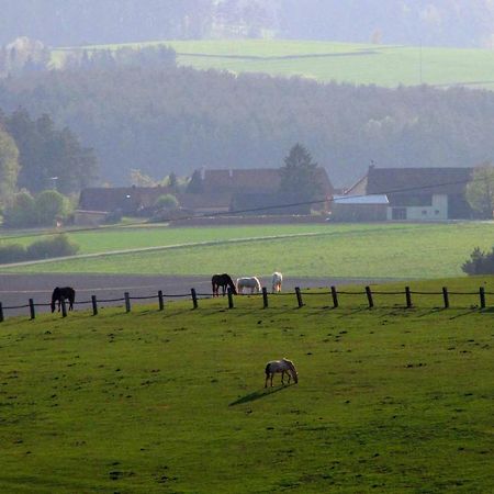 Ferienwohnung Haus Hollerbusch Neunburg vorm Wald Exterior foto