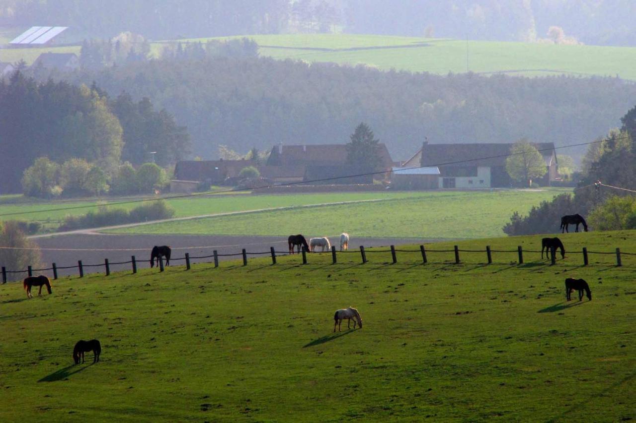 Ferienwohnung Haus Hollerbusch Neunburg vorm Wald Exterior foto