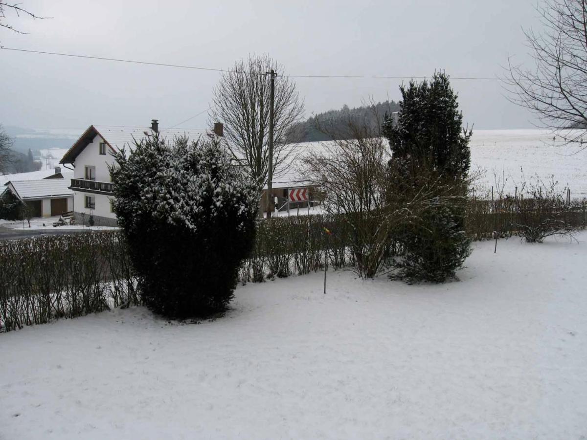 Ferienwohnung Haus Hollerbusch Neunburg vorm Wald Exterior foto