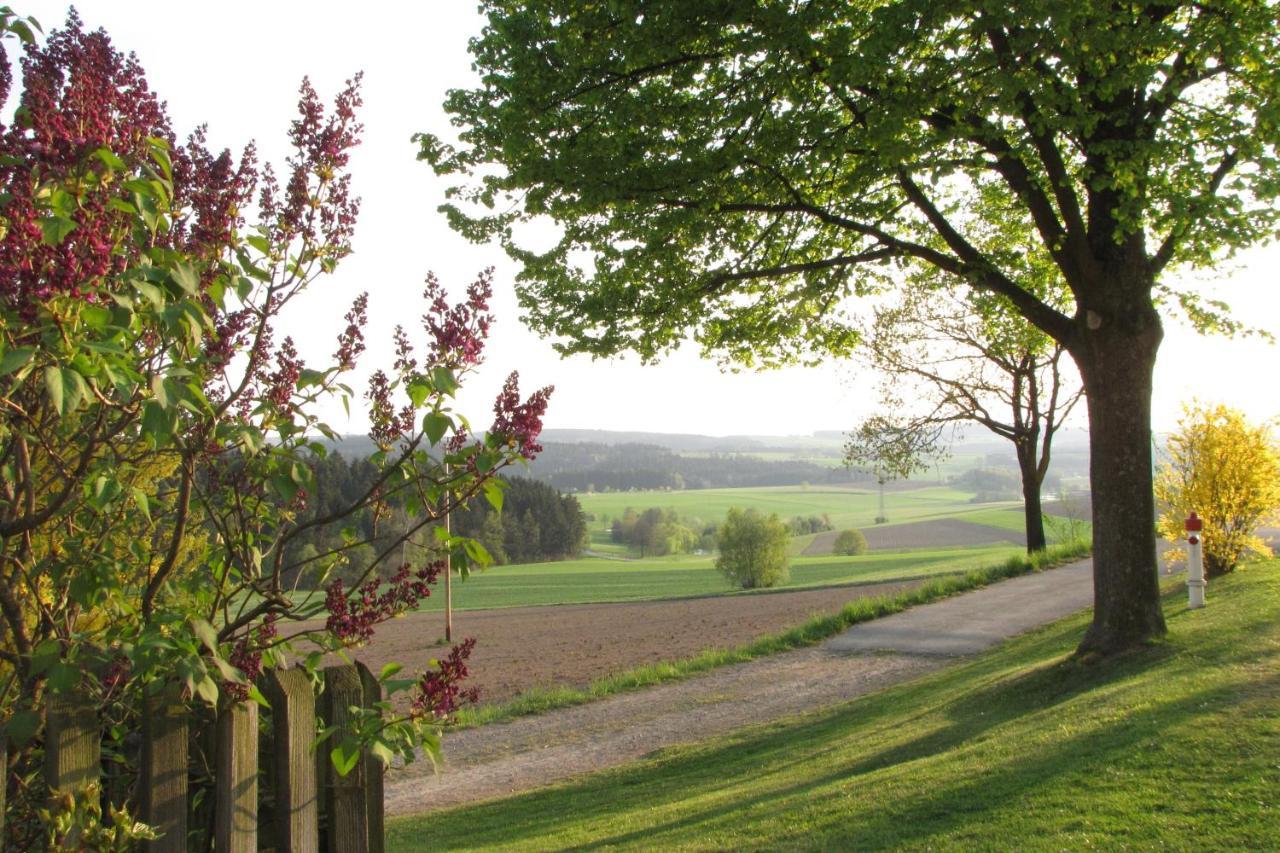 Ferienwohnung Haus Hollerbusch Neunburg vorm Wald Exterior foto
