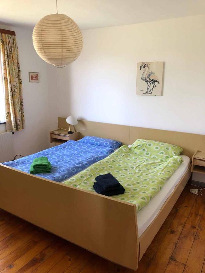 Ferienwohnung Haus Hollerbusch Neunburg vorm Wald Exterior foto