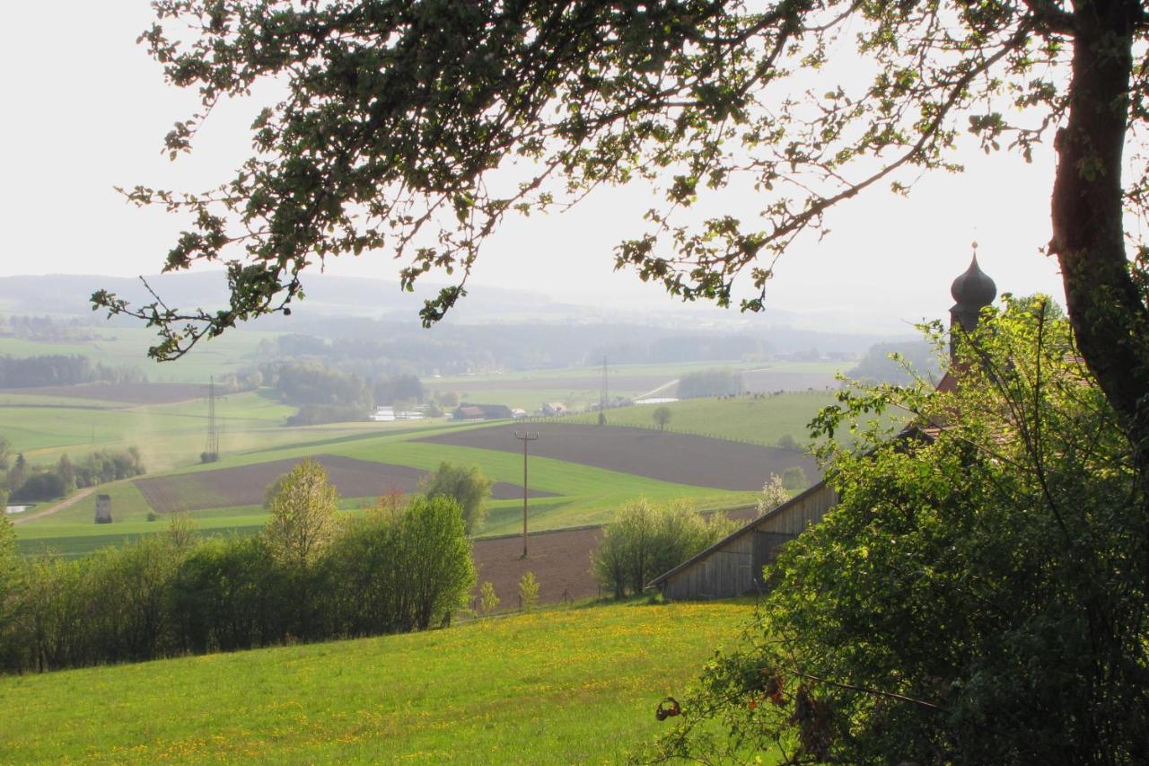 Ferienwohnung Haus Hollerbusch Neunburg vorm Wald Exterior foto